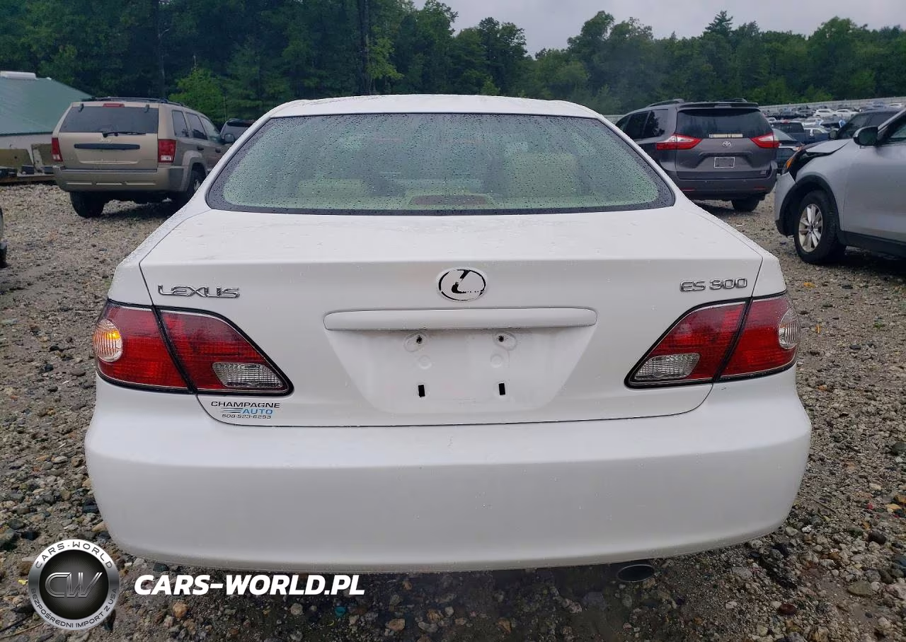 2003 Lexus Es 300 VIN:JTHBF30G130100682 - 6