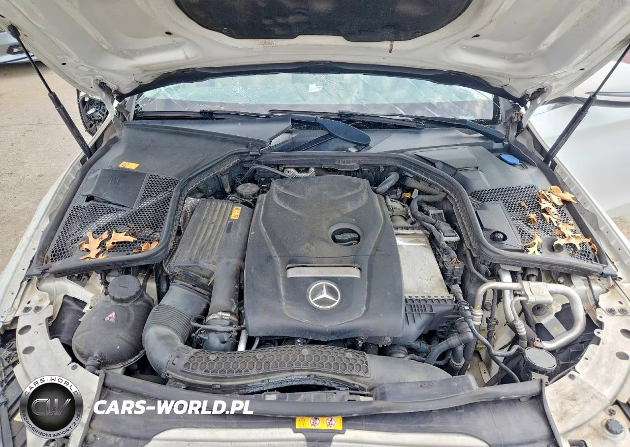 2016 Mercedes-Benz C 300 4Matic VIN:55SWF4KB5GU104962 - 11