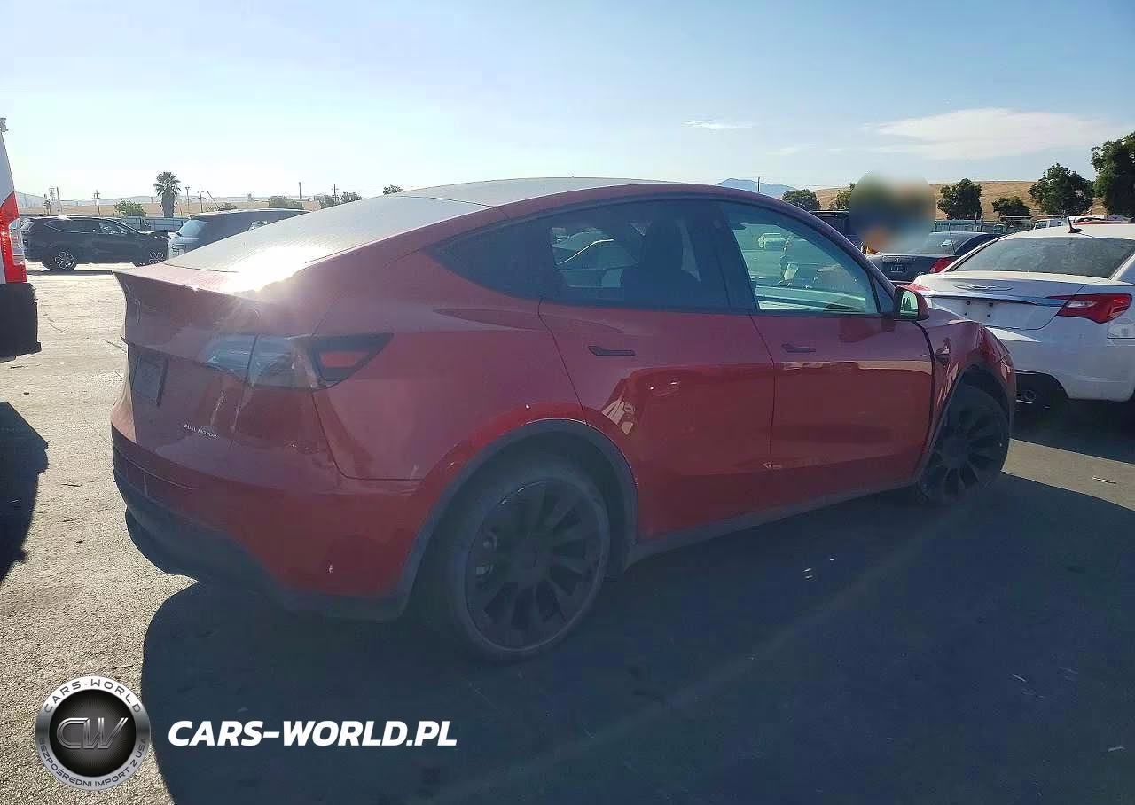 2023 Tesla Model Y VIN:7SAYGDEE3PF595984 - 3