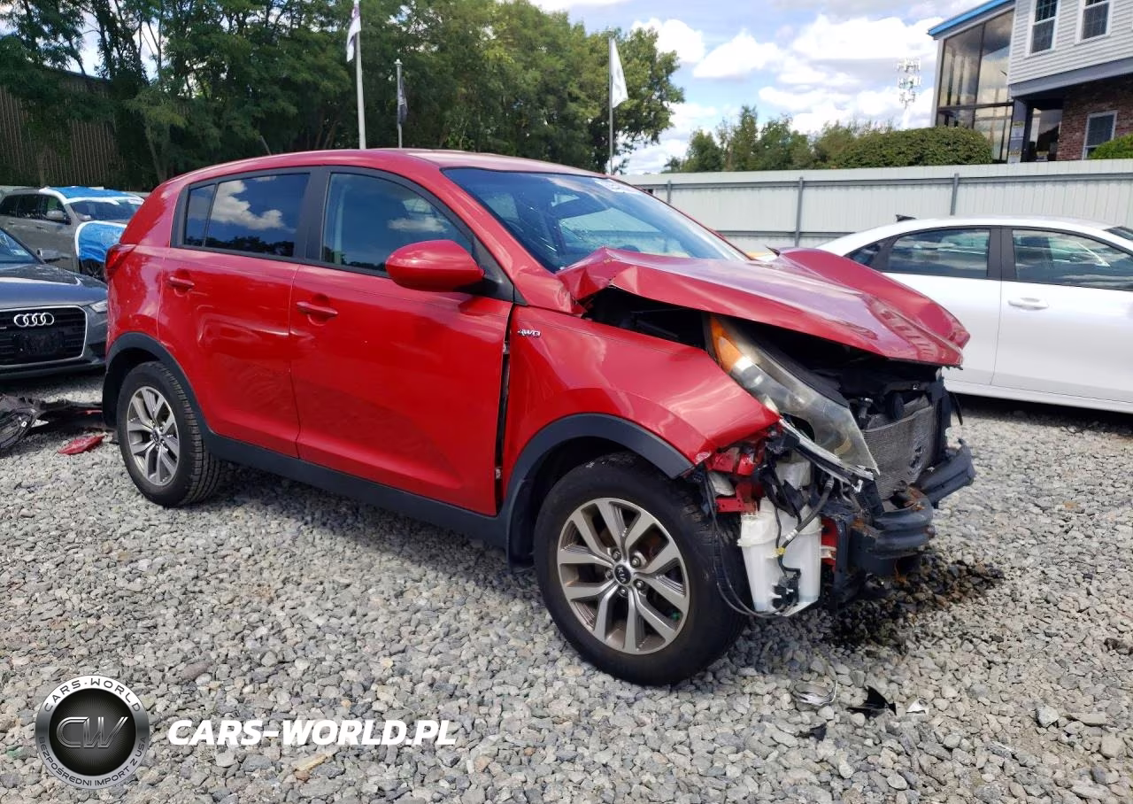 2014 Kia Sportage Lx VIN:KNDPBCAC3E7581673 - 4