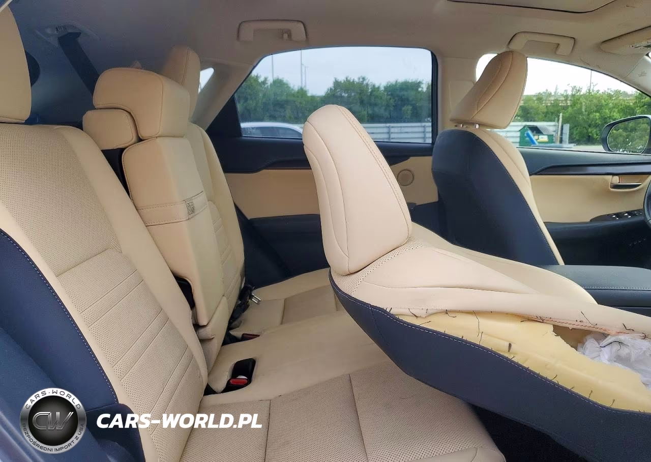 2021 Lexus Nx 300 Base VIN:JTJGARBZ0M5020654 - 10