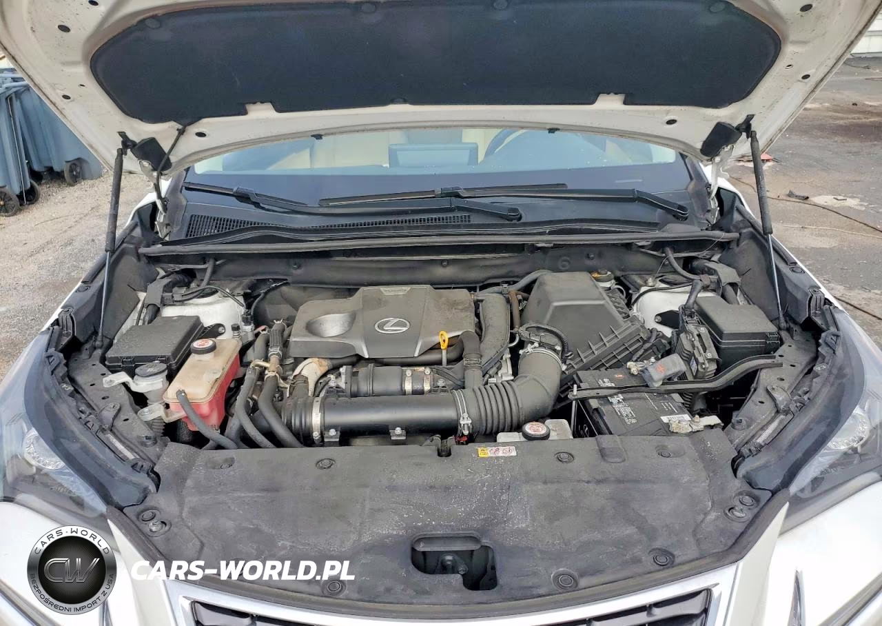 2021 Lexus Nx 300 Base VIN:JTJGARBZ0M5020654 - 11