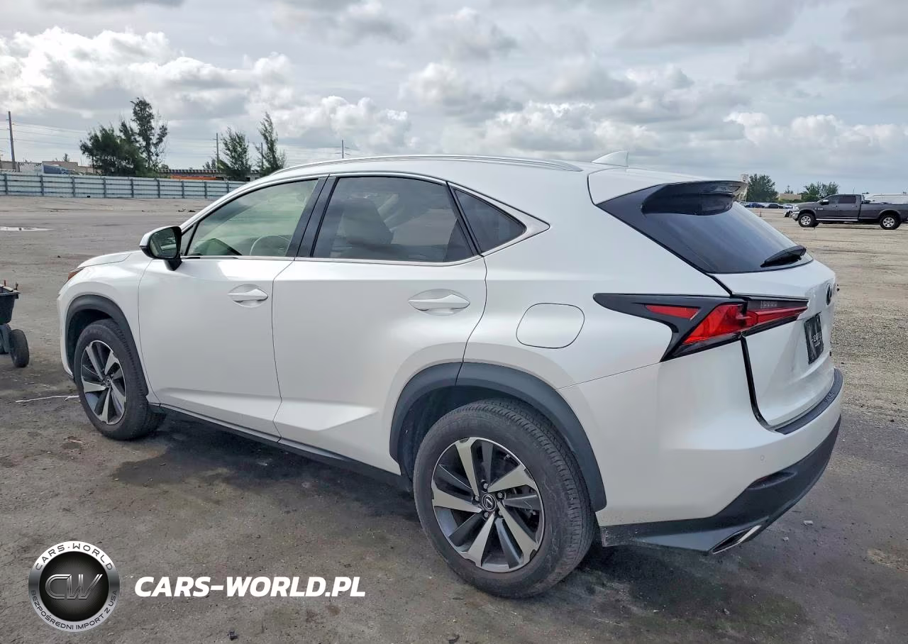 2021 Lexus Nx 300 Base VIN:JTJGARBZ0M5020654 - 2