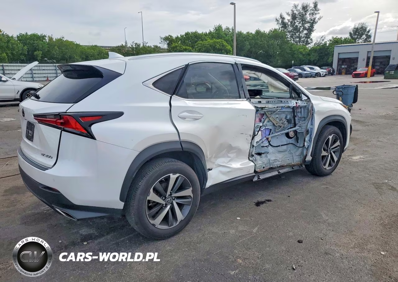 2021 Lexus Nx 300 Base VIN:JTJGARBZ0M5020654 - 3