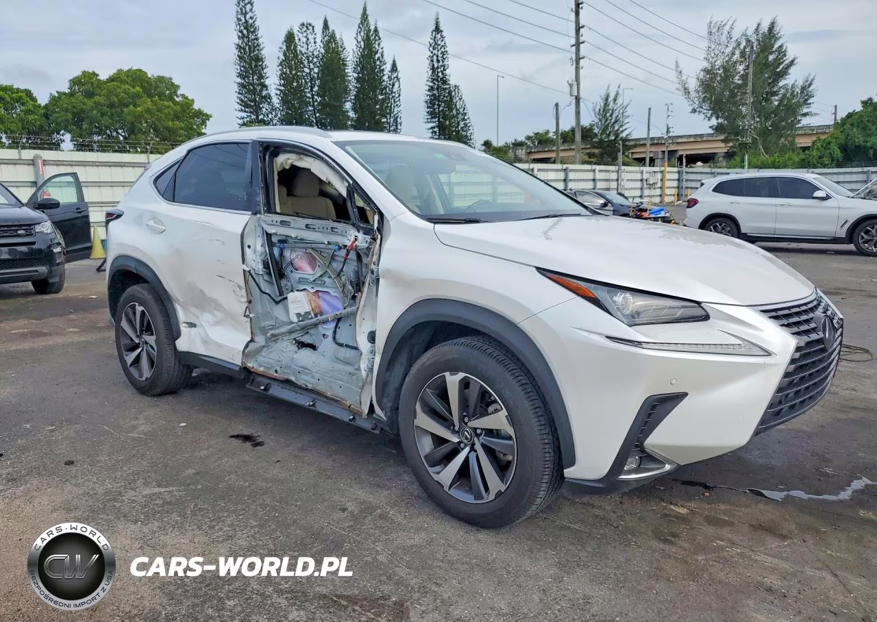 2021 Lexus Nx 300 Base VIN:JTJGARBZ0M5020654 - 4