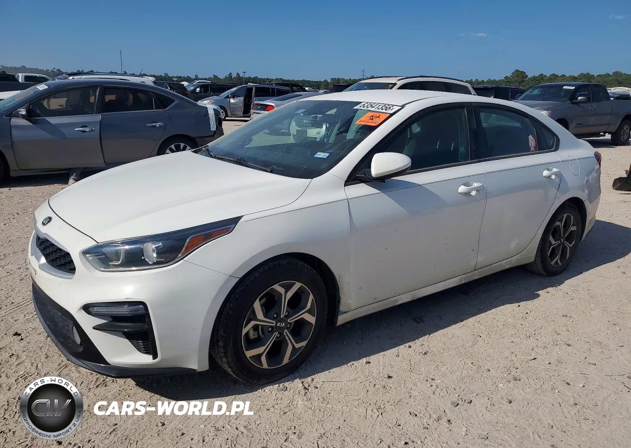 2019 Kia Forte Lxs