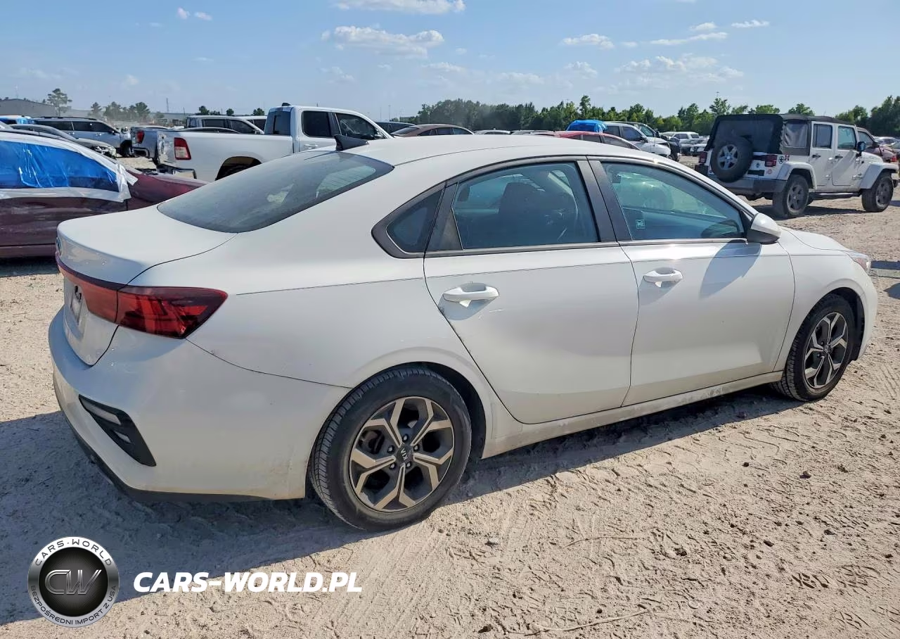 2019 Kia Forte Lxs VIN:3KPF24AD2KE131342 - 3