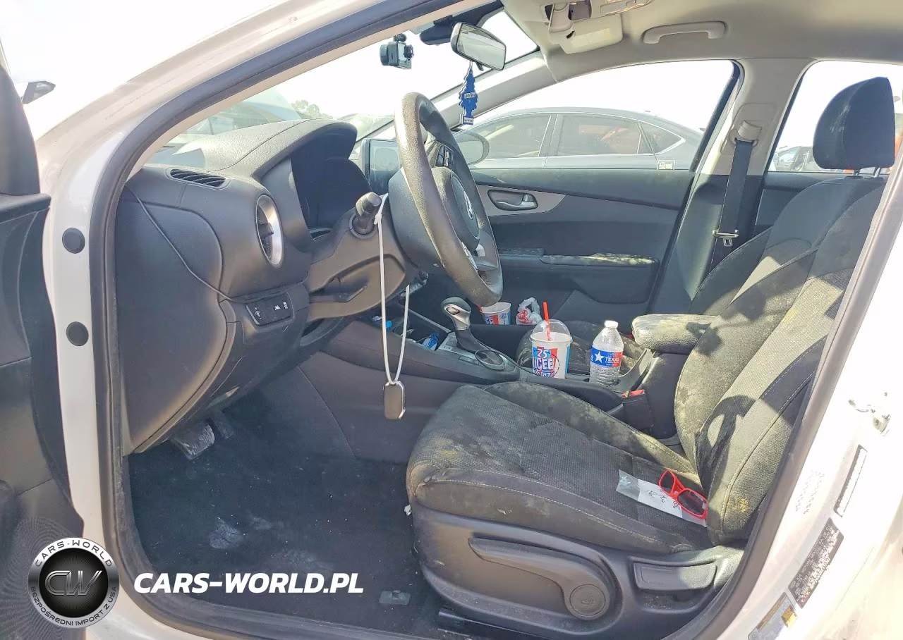 2019 Kia Forte Lxs VIN:3KPF24AD2KE131342 - 7