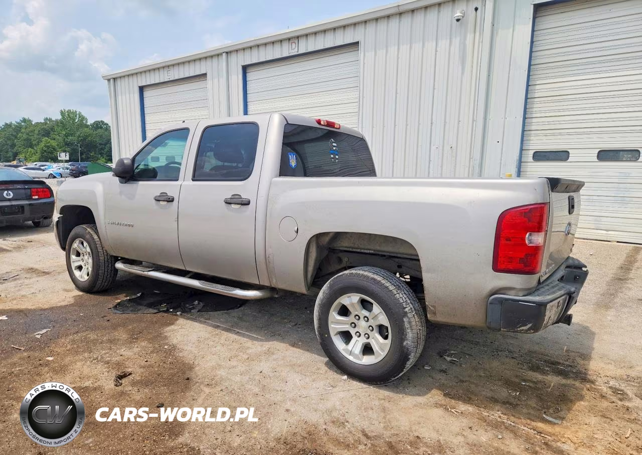 2009 Chevrolet Silverado C1500 VIN:3GCEC13C69G231308 - 2