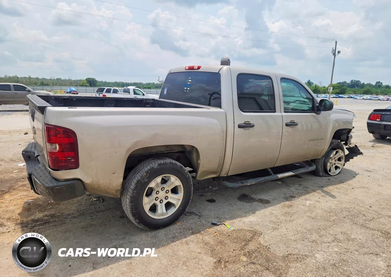 2009 Chevrolet Silverado C1500 VIN:3GCEC13C69G231308 - 3