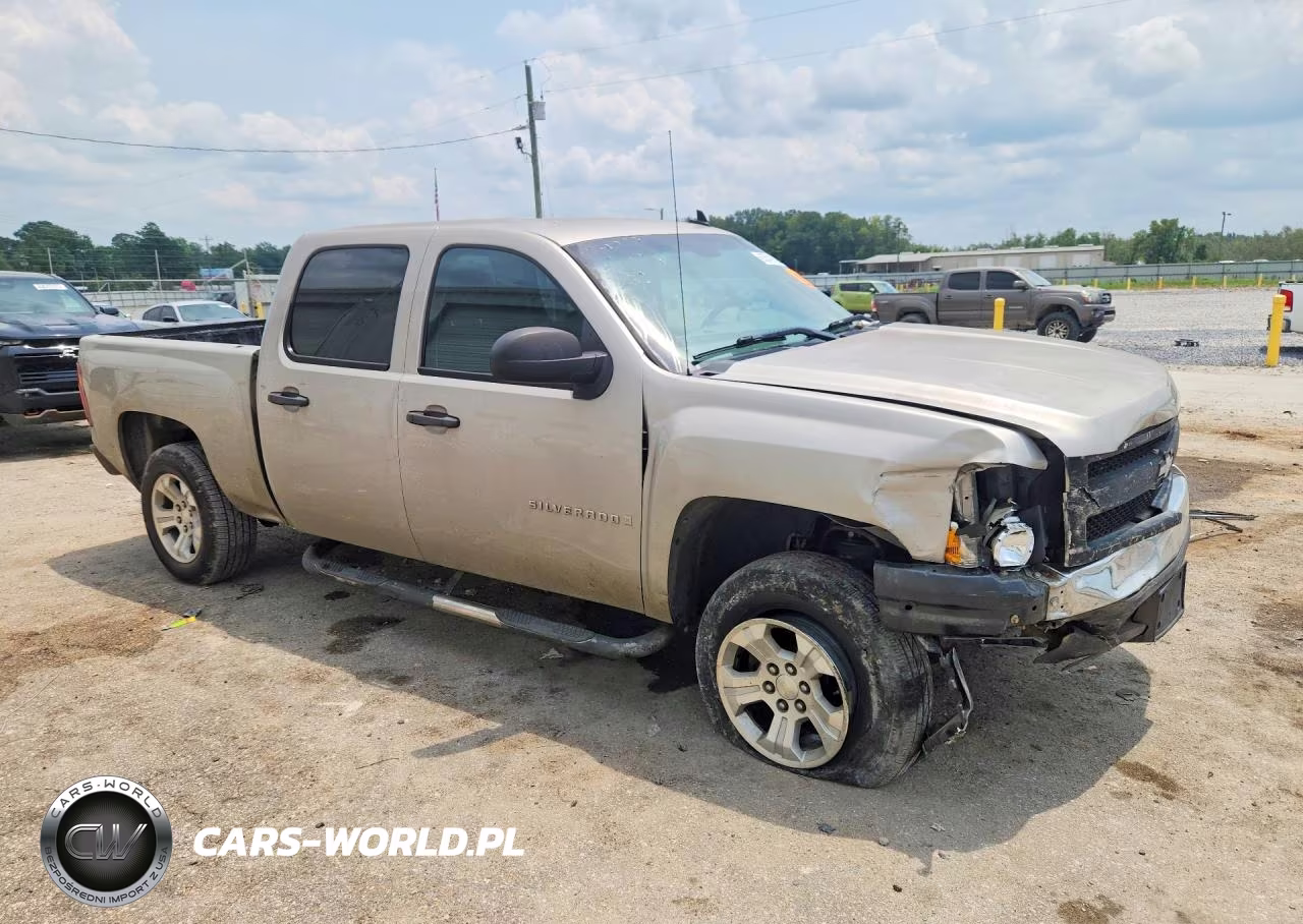 2009 Chevrolet Silverado C1500 VIN:3GCEC13C69G231308 - 4