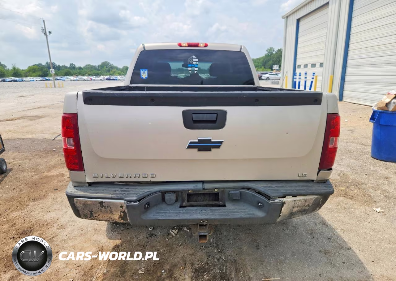 2009 Chevrolet Silverado C1500 VIN:3GCEC13C69G231308 - 6