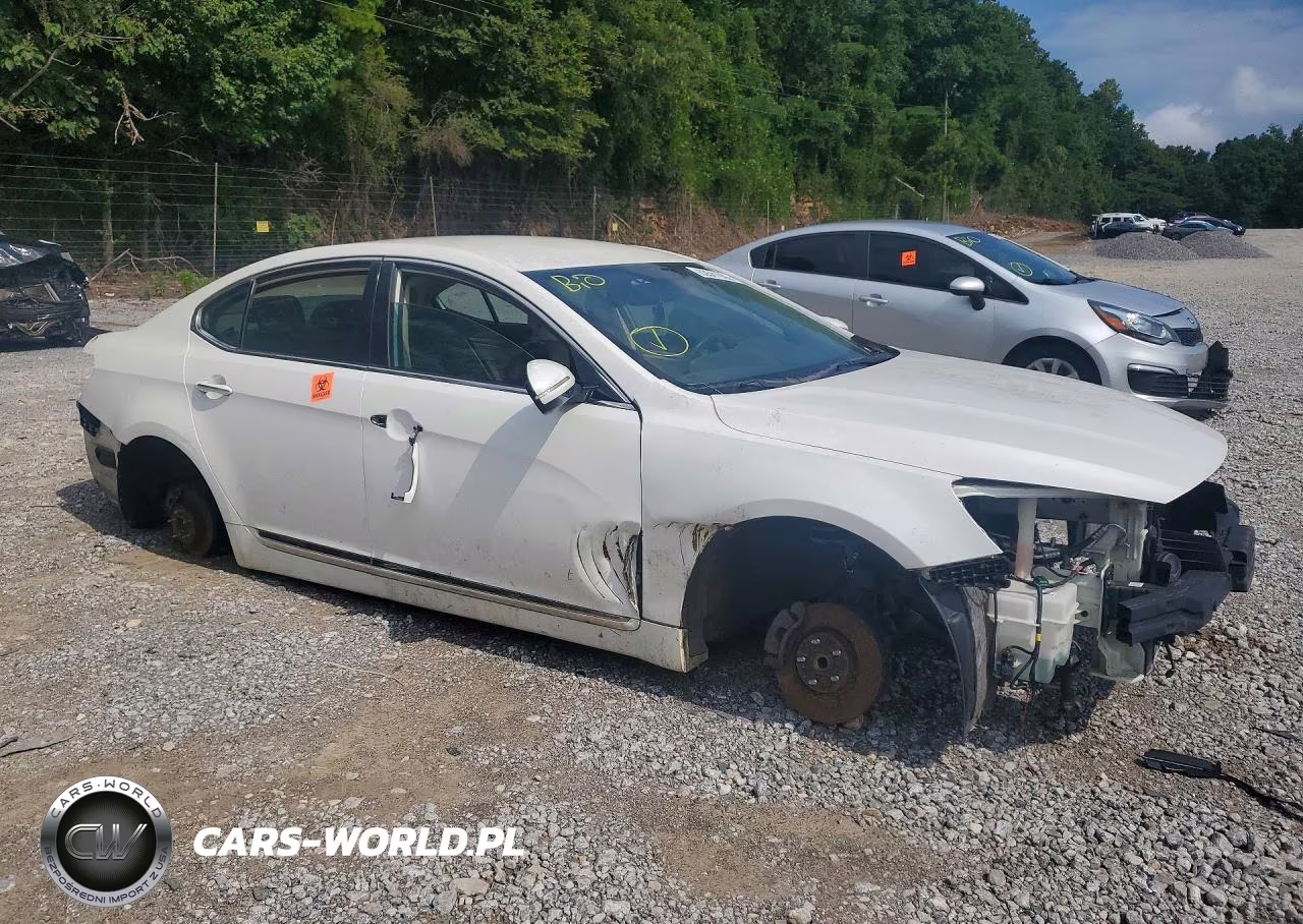 2014 Kia Cadenza Premium VIN:KNALN4D78E5162379 - 4