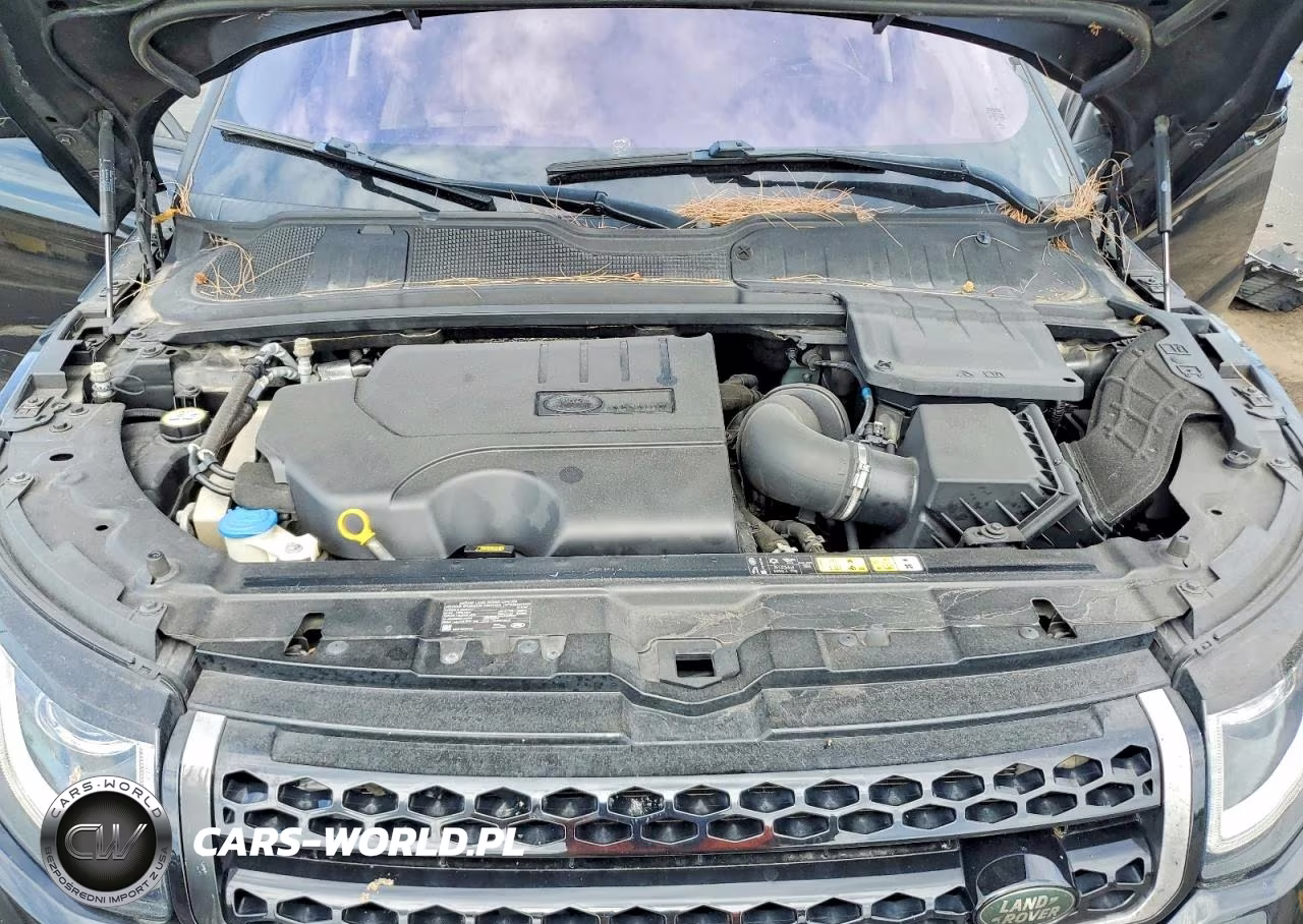 2019 Land Rover Range Rover Evoque Se VIN:SALVP2RX1KH333625 - 12