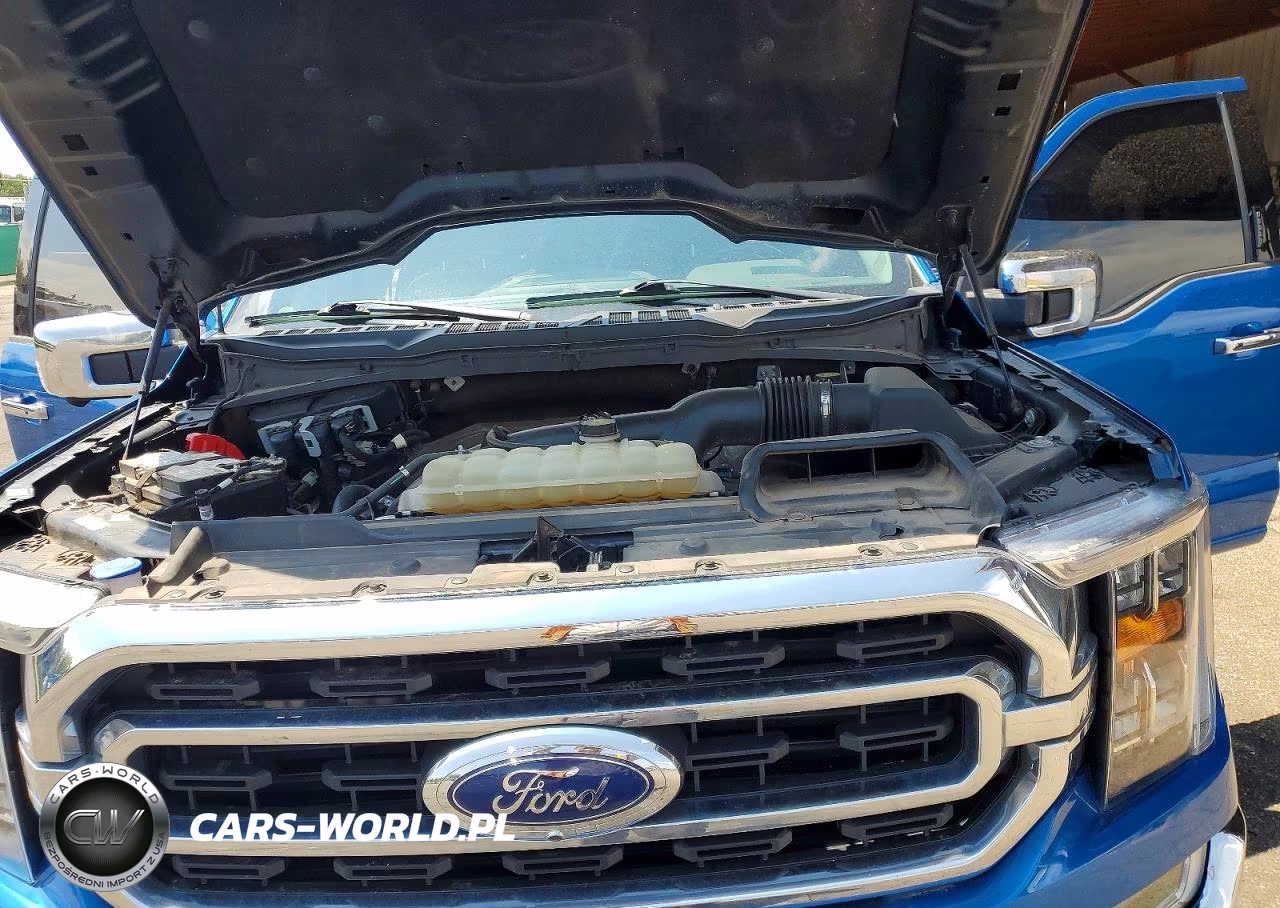 2021 Ford F150 Supercrew VIN:1FTEW1EP6MFC50121 - 11