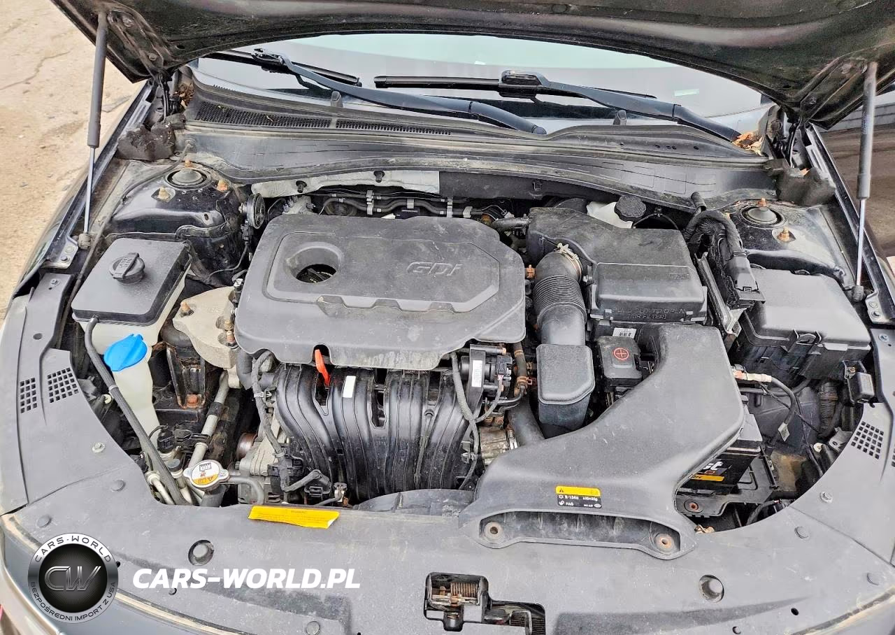 2016 Kia Optima Lx VIN:KNAGT4L38G5105995 - 11