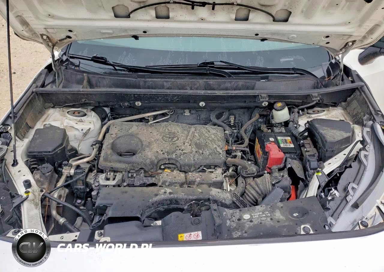 2019 Toyota Rav4 Le VIN:JTMH1RFVXKD517275 - 12