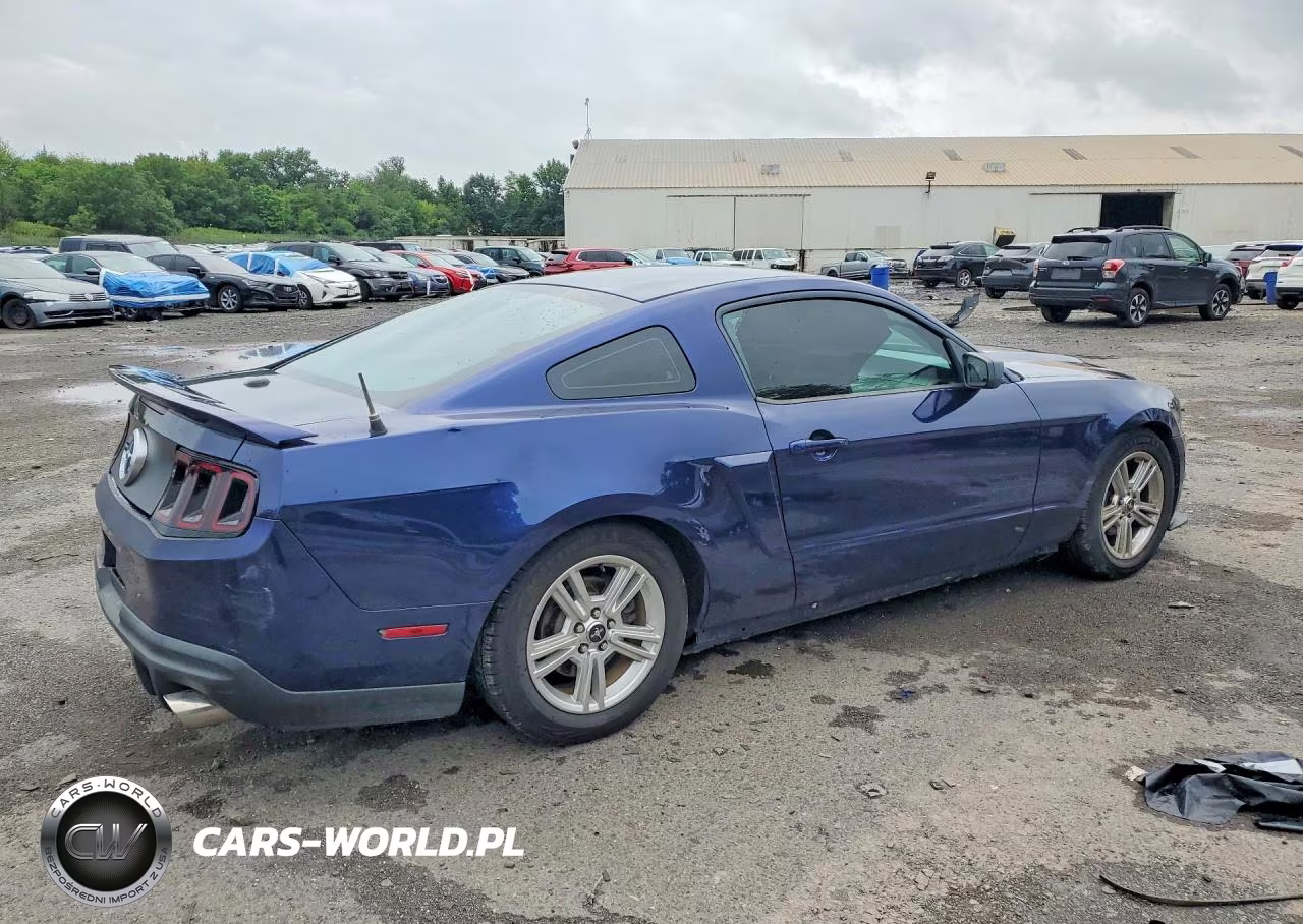 2010 Ford Mustang VIN:1ZVBP8AN8A5137220 - 3