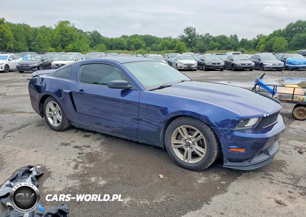 2010 Ford Mustang VIN:1ZVBP8AN8A5137220 - 4