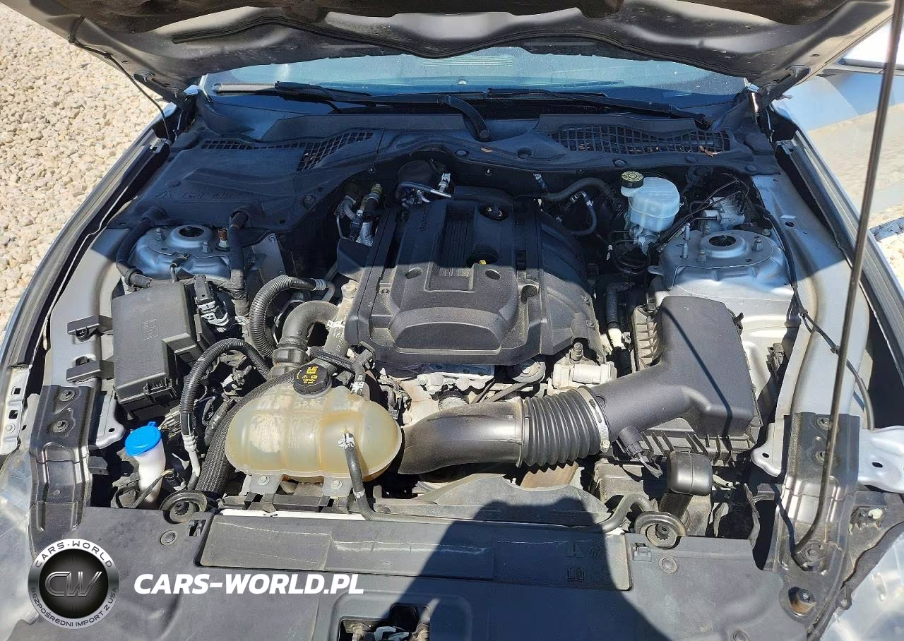 2020 Ford Mustang VIN:1FA6P8TH3L5162854 - 11