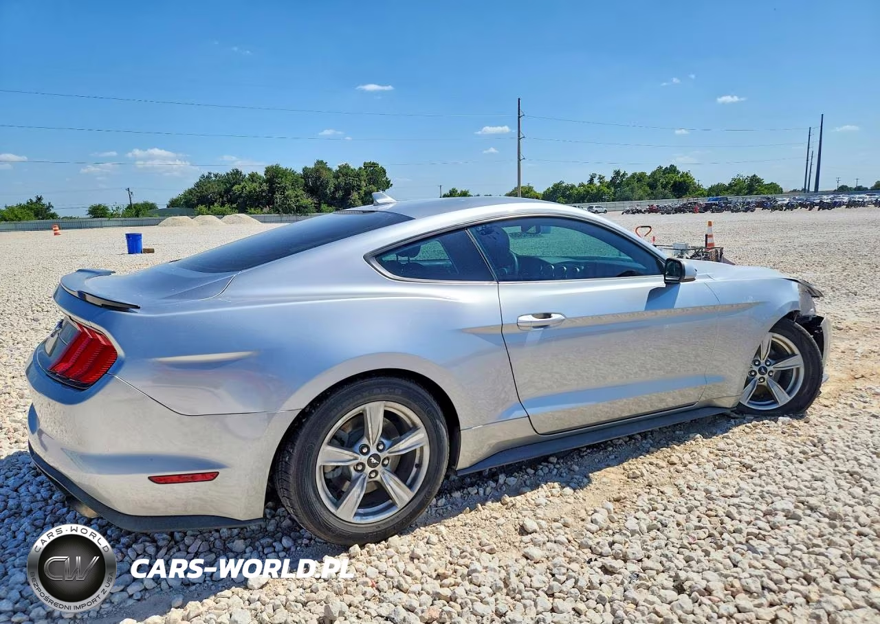 2020 Ford Mustang VIN:1FA6P8TH3L5162854 - 3