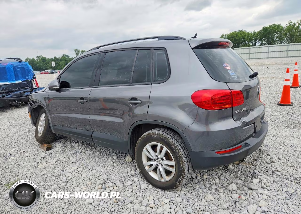 2016 Volkswagen Tiguan S VIN:WVGAV7AX3GW585816 - 2