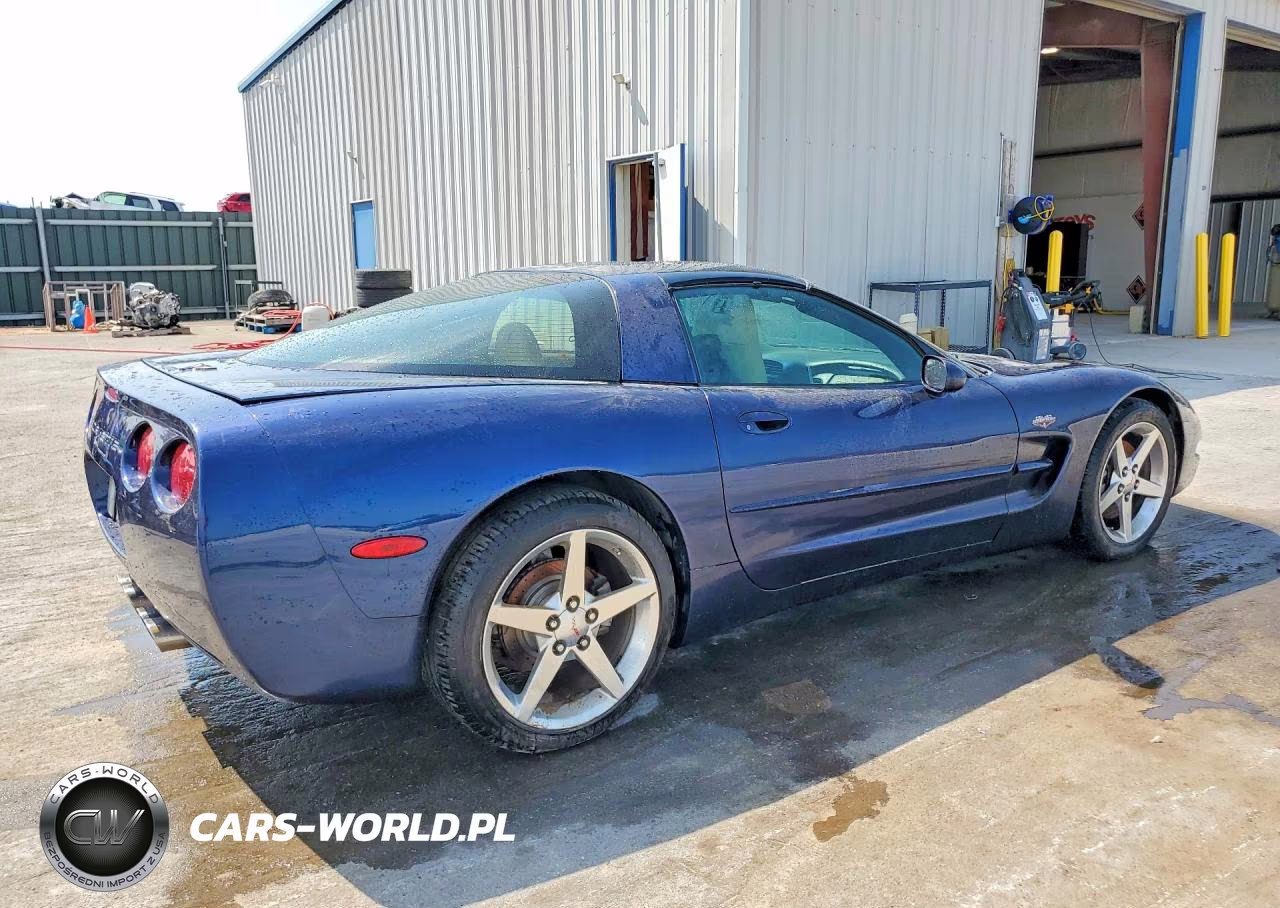 1999 Chevrolet Corvette VIN:1G1YY22G6X5125527 - 3