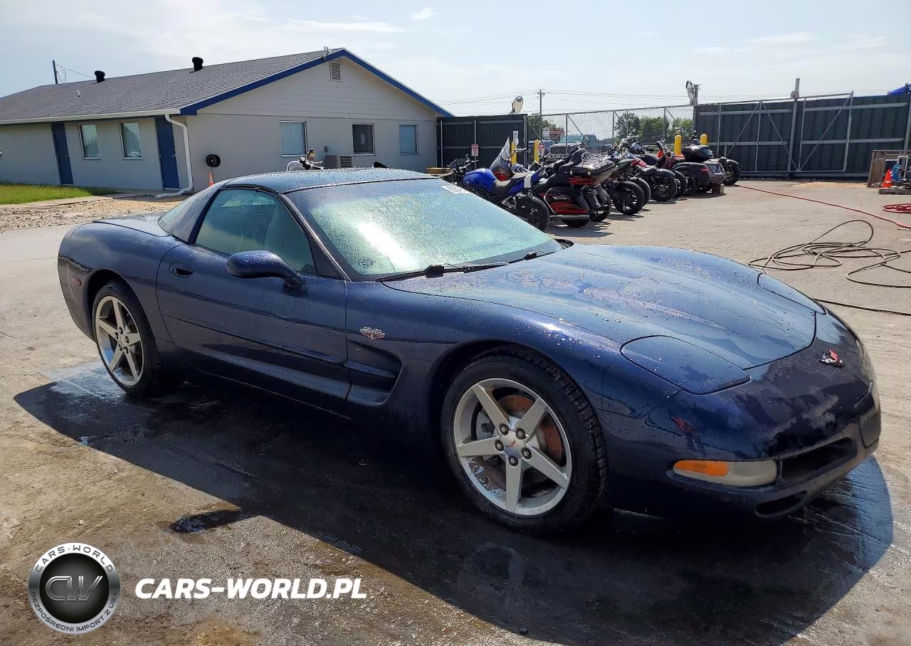 1999 Chevrolet Corvette VIN:1G1YY22G6X5125527 - 4