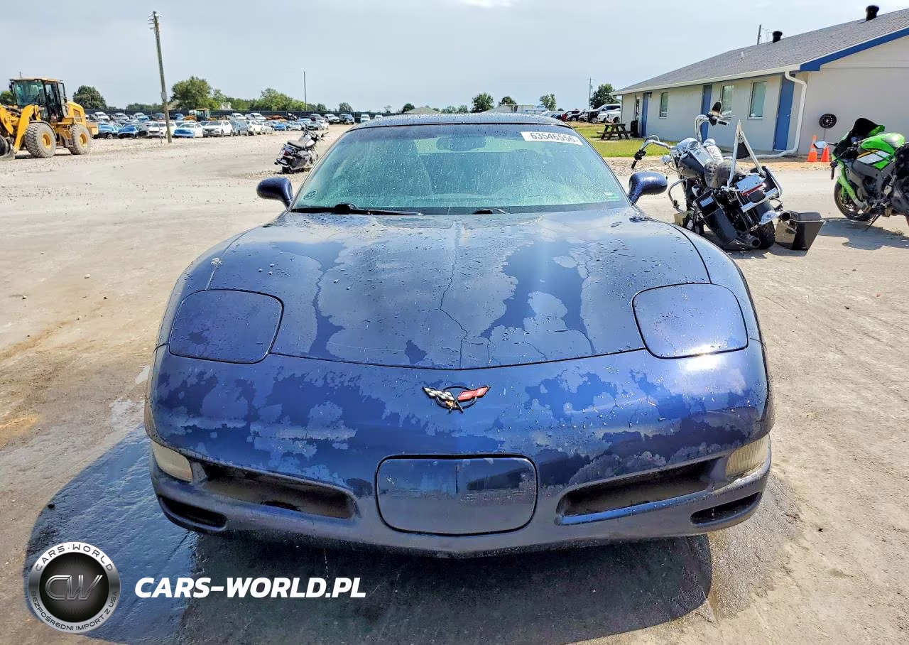 1999 Chevrolet Corvette VIN:1G1YY22G6X5125527 - 5