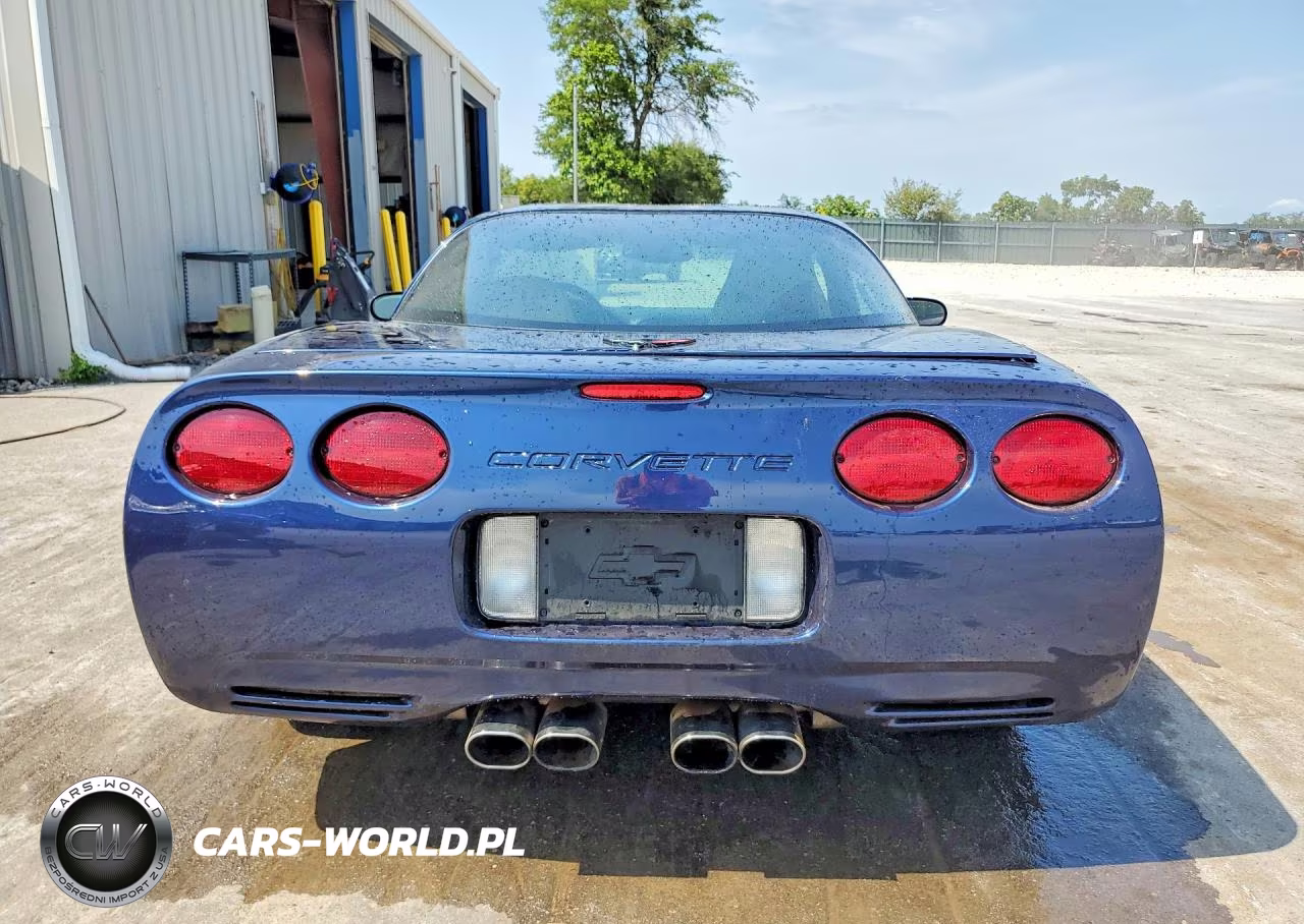 1999 Chevrolet Corvette VIN:1G1YY22G6X5125527 - 6