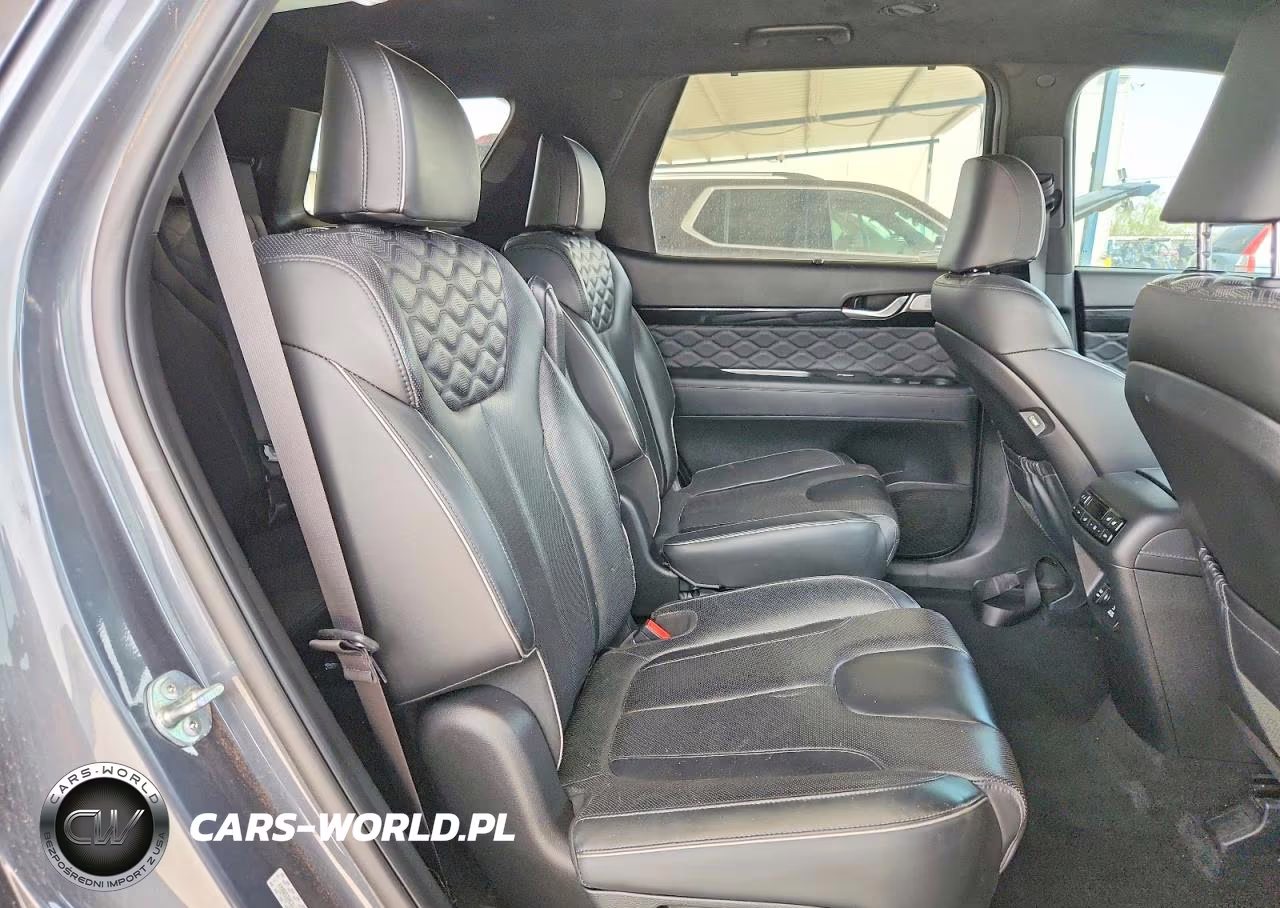 2020 Hyundai Palisade Limited VIN:KM8R5DHE6LU142927 - 11