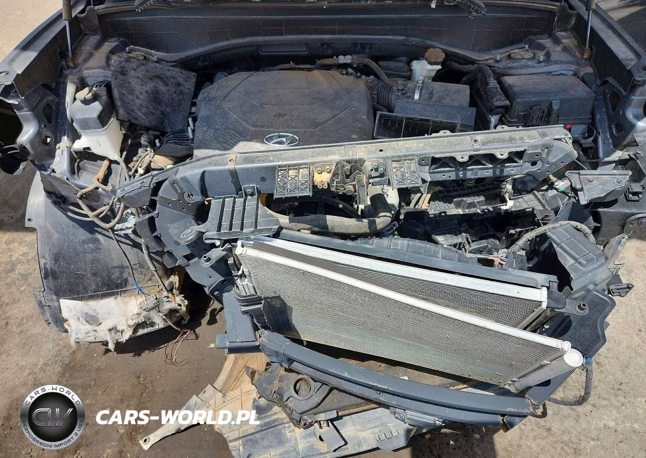 2020 Hyundai Palisade Limited VIN:KM8R5DHE6LU142927 - 12