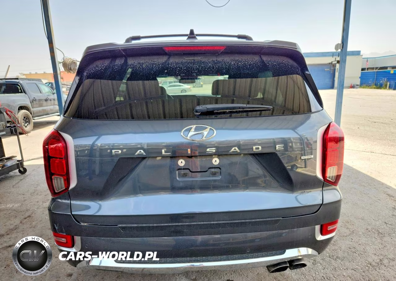 2020 Hyundai Palisade Limited VIN:KM8R5DHE6LU142927 - 6