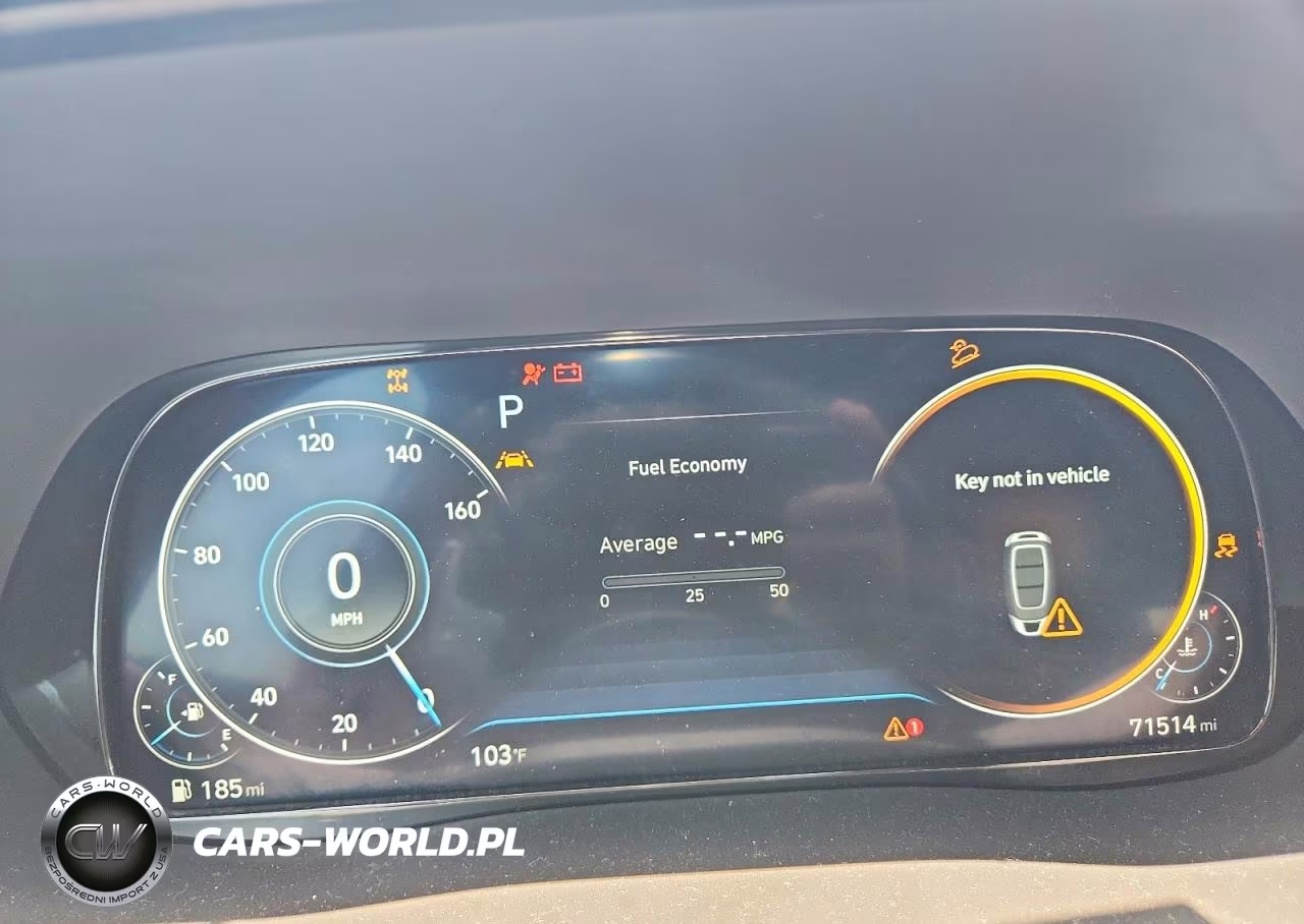 2020 Hyundai Palisade Limited VIN:KM8R5DHE6LU142927 - 9