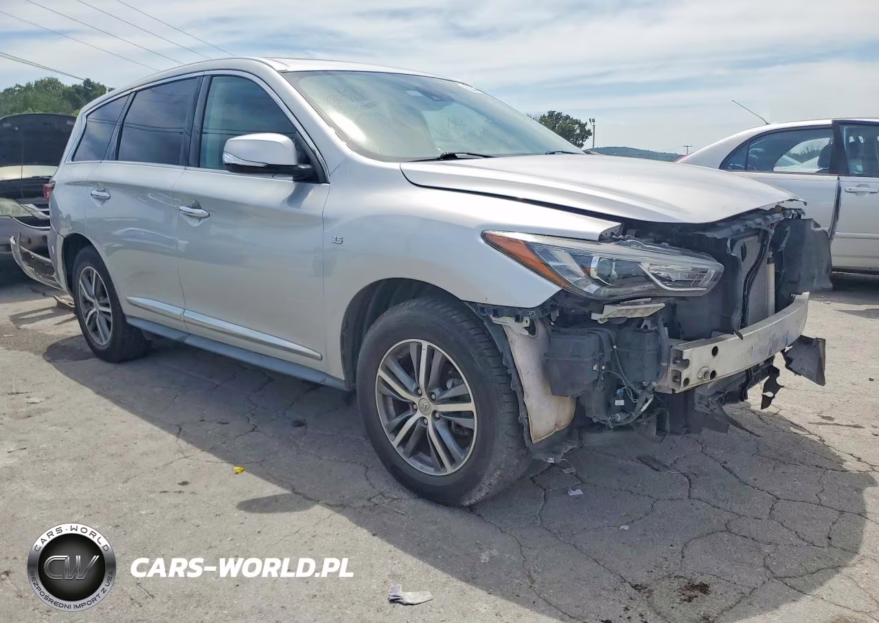 2020 Infiniti Qx60 Pure VIN:5N1DL0MM8LC526073 - 4