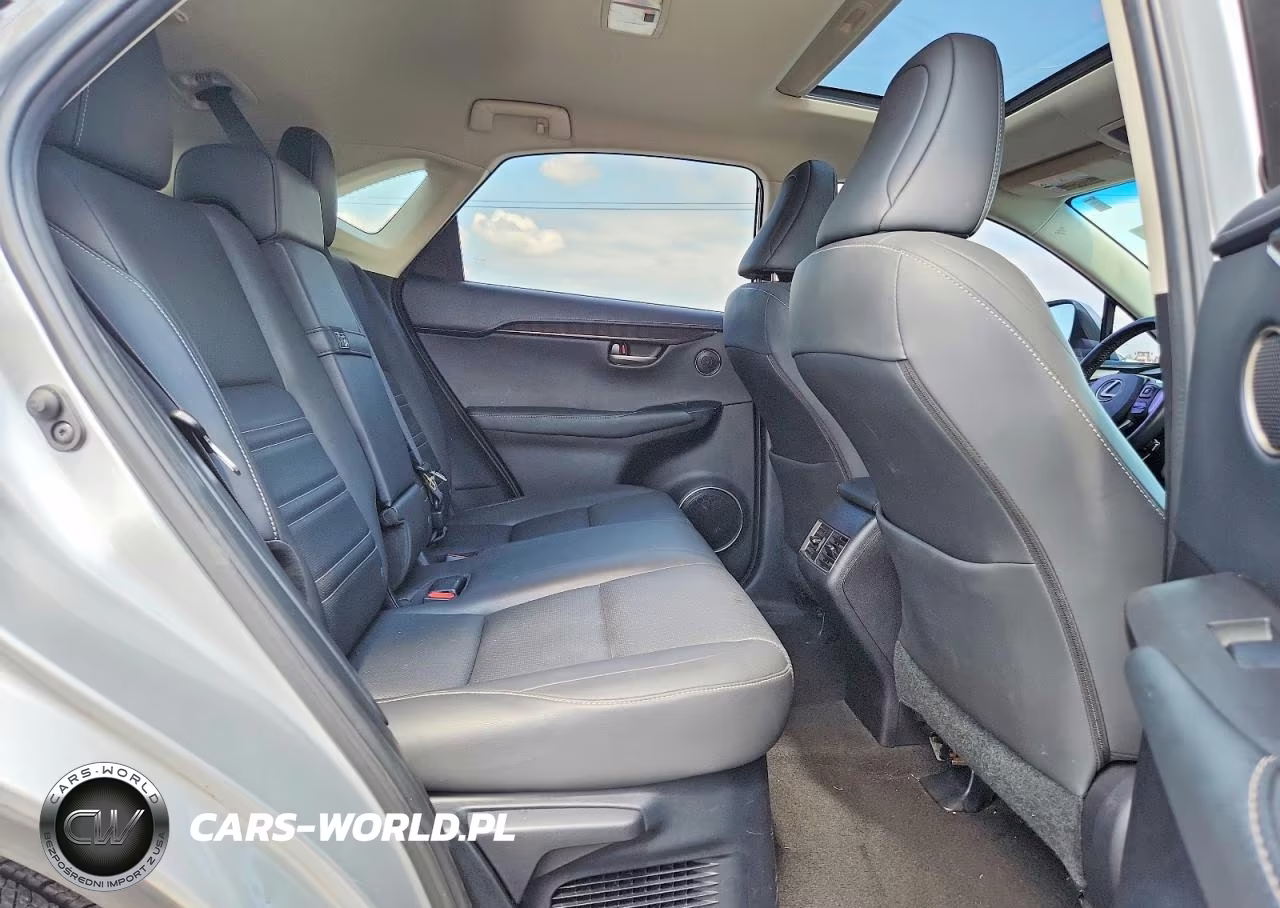 2016 Lexus Nx 200T Base VIN:JTJBARBZ2G2047967 - 10