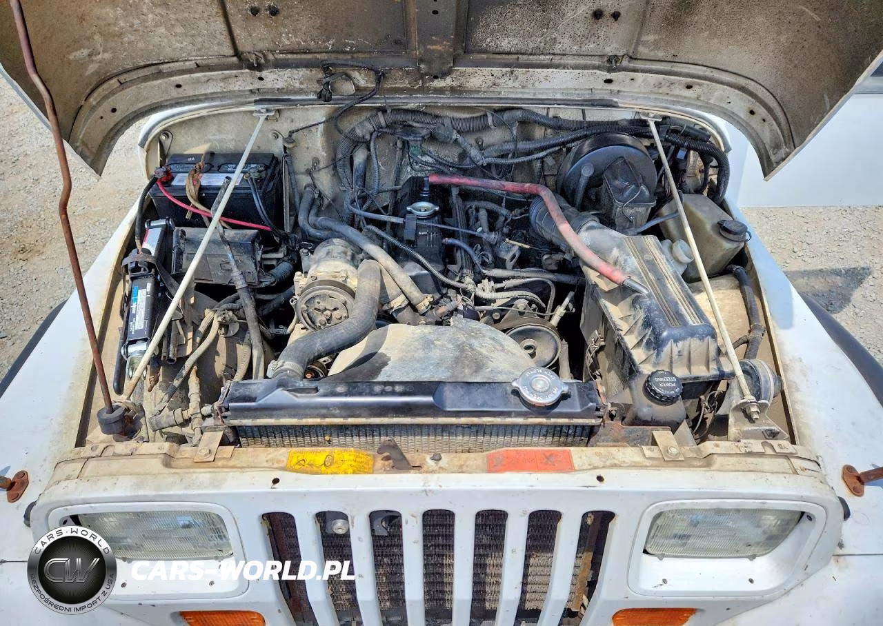 1993 Jeep Wrangler - Yj S VIN:1J4FY19P3PP219989 - 11