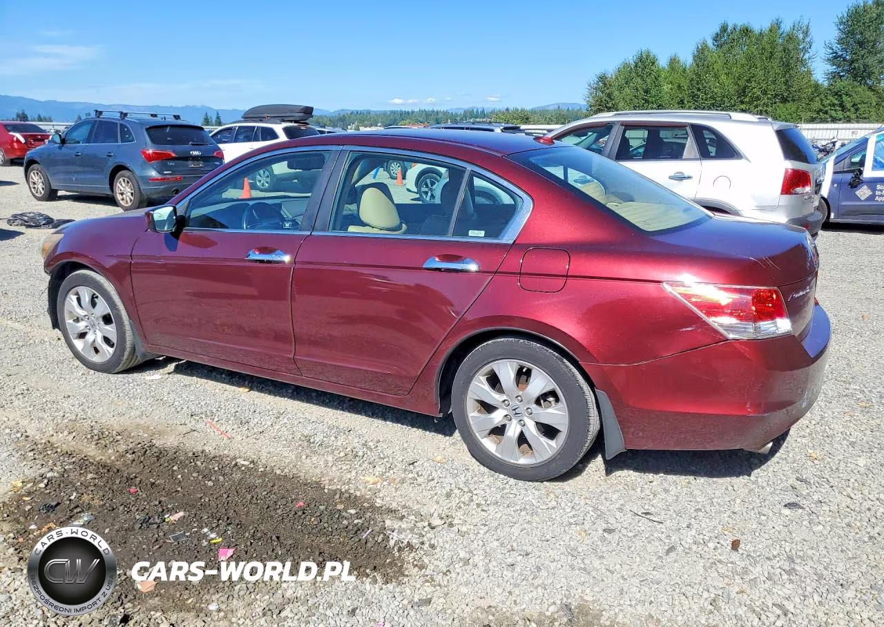 2009 Honda Accord Exl VIN:1HGCP36859A051641 - 2