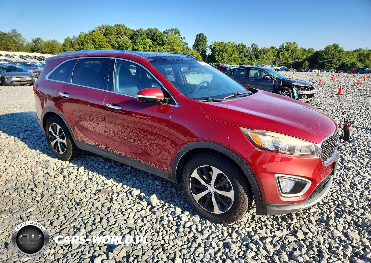 2016 Kia Sorento Ex VIN:5XYPH4A56GG041830 - 4