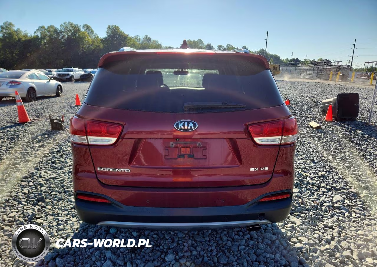 2016 Kia Sorento Ex VIN:5XYPH4A56GG041830 - 6