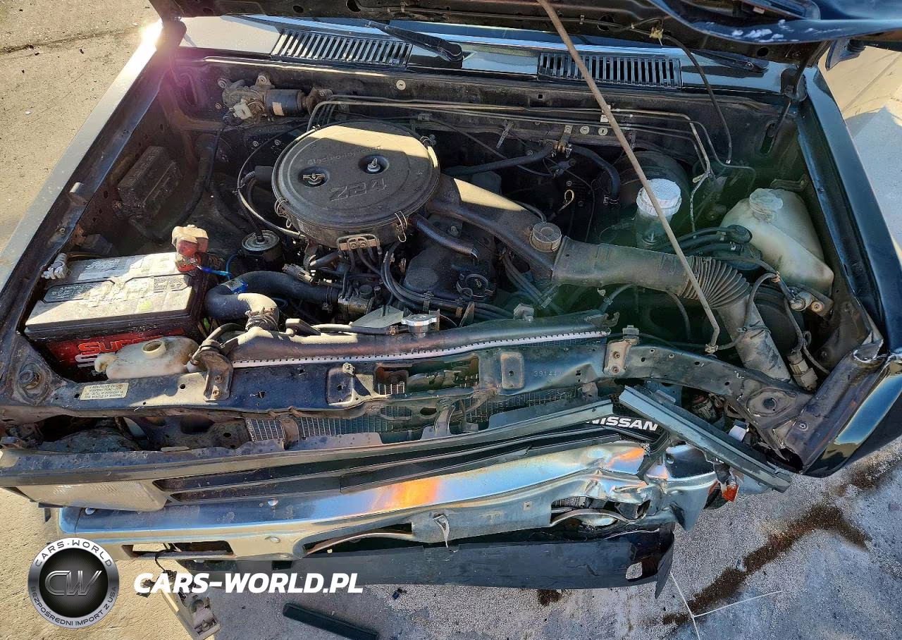 1989 Nissan Truck Base VIN:1N6ND11S2KC391442 - 11