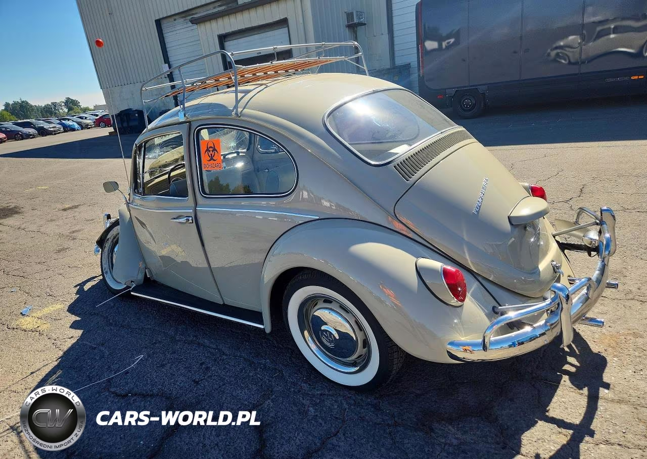 1967 Volkswagen Beetle VIN:117428455 - 2