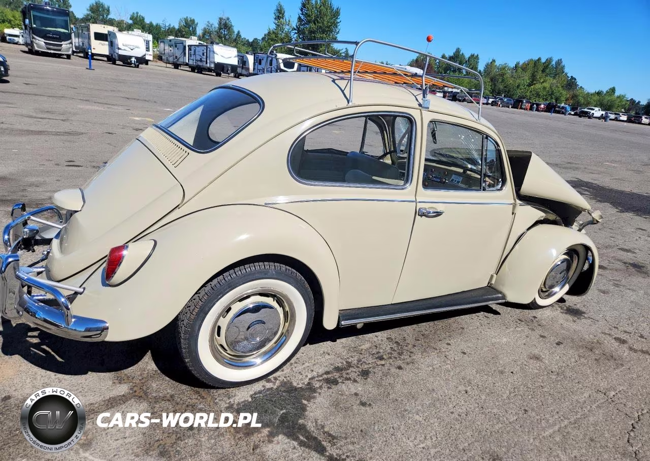 1967 Volkswagen Beetle VIN:117428455 - 3