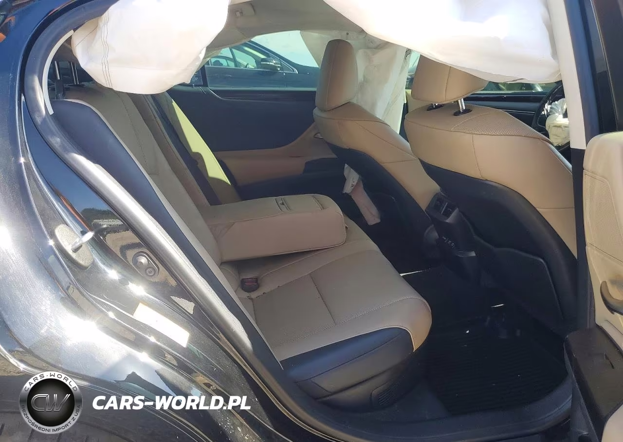 2019 Lexus Es 300H VIN:JTHB21B11K2036557 - 10