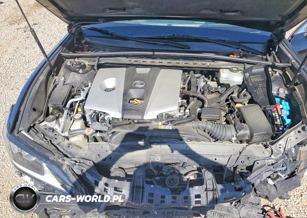 2019 Lexus Es 300H VIN:JTHB21B11K2036557 - 11