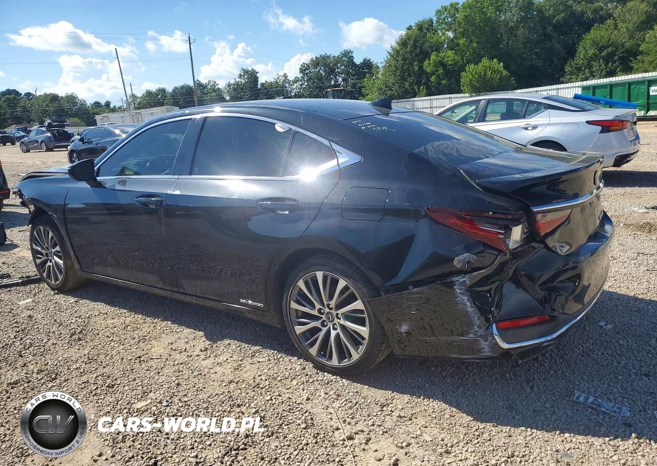 2019 Lexus Es 300H VIN:JTHB21B11K2036557 - 2