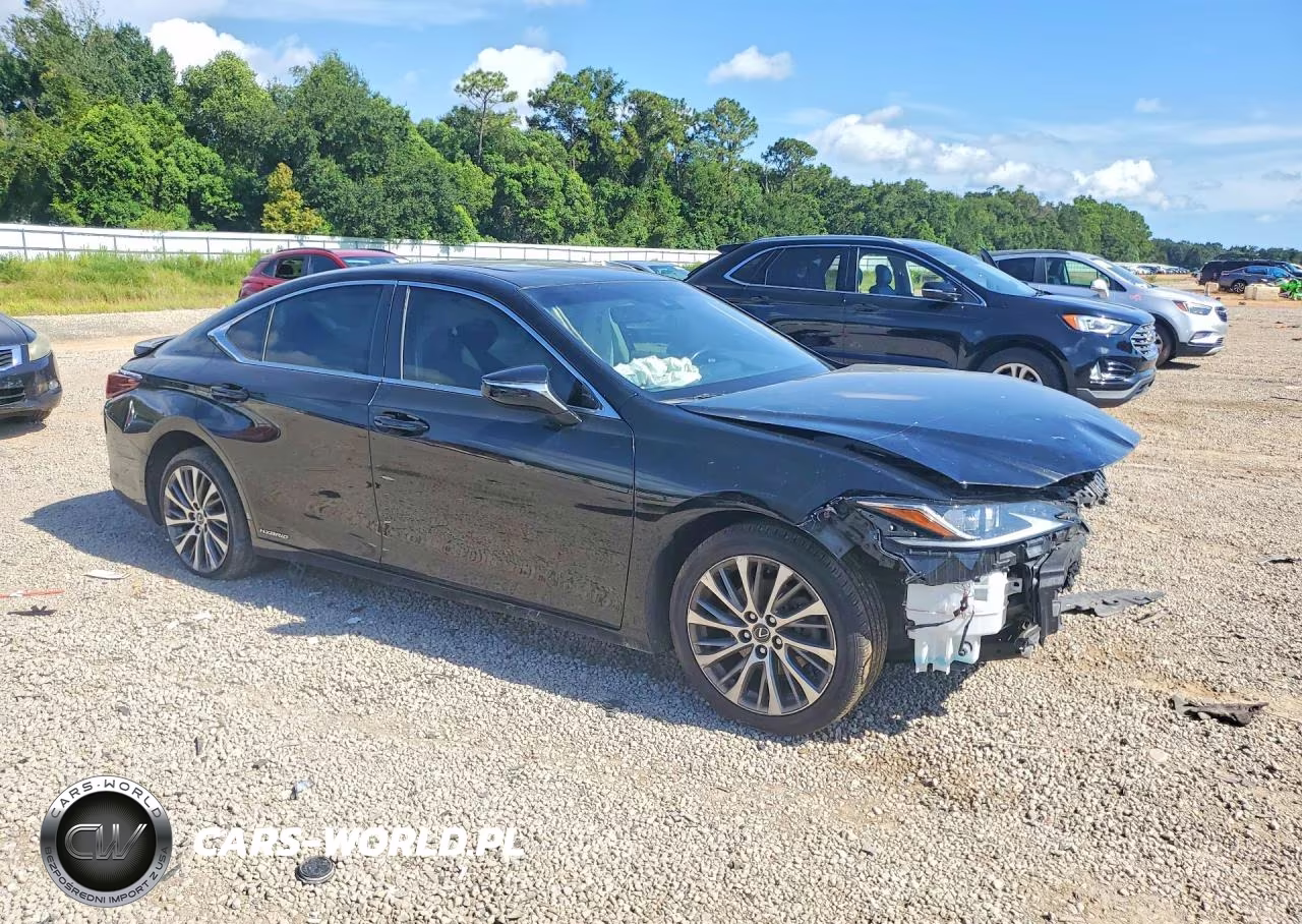 2019 Lexus Es 300H VIN:JTHB21B11K2036557 - 4