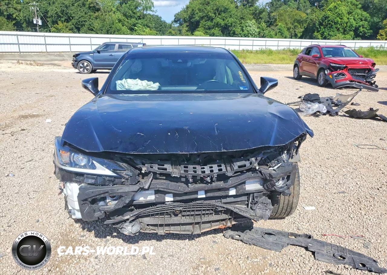 2019 Lexus Es 300H VIN:JTHB21B11K2036557 - 5