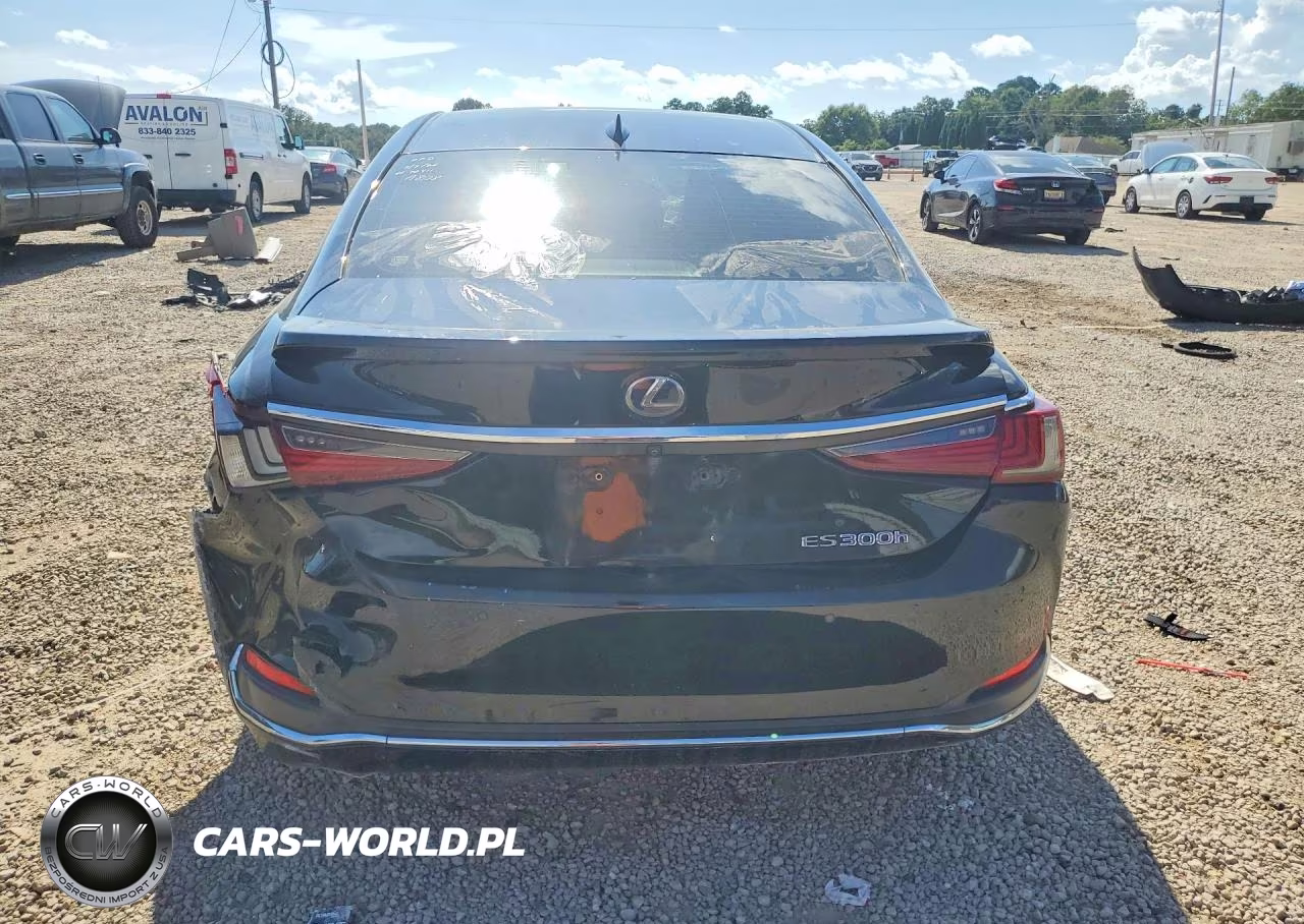 2019 Lexus Es 300H VIN:JTHB21B11K2036557 - 6