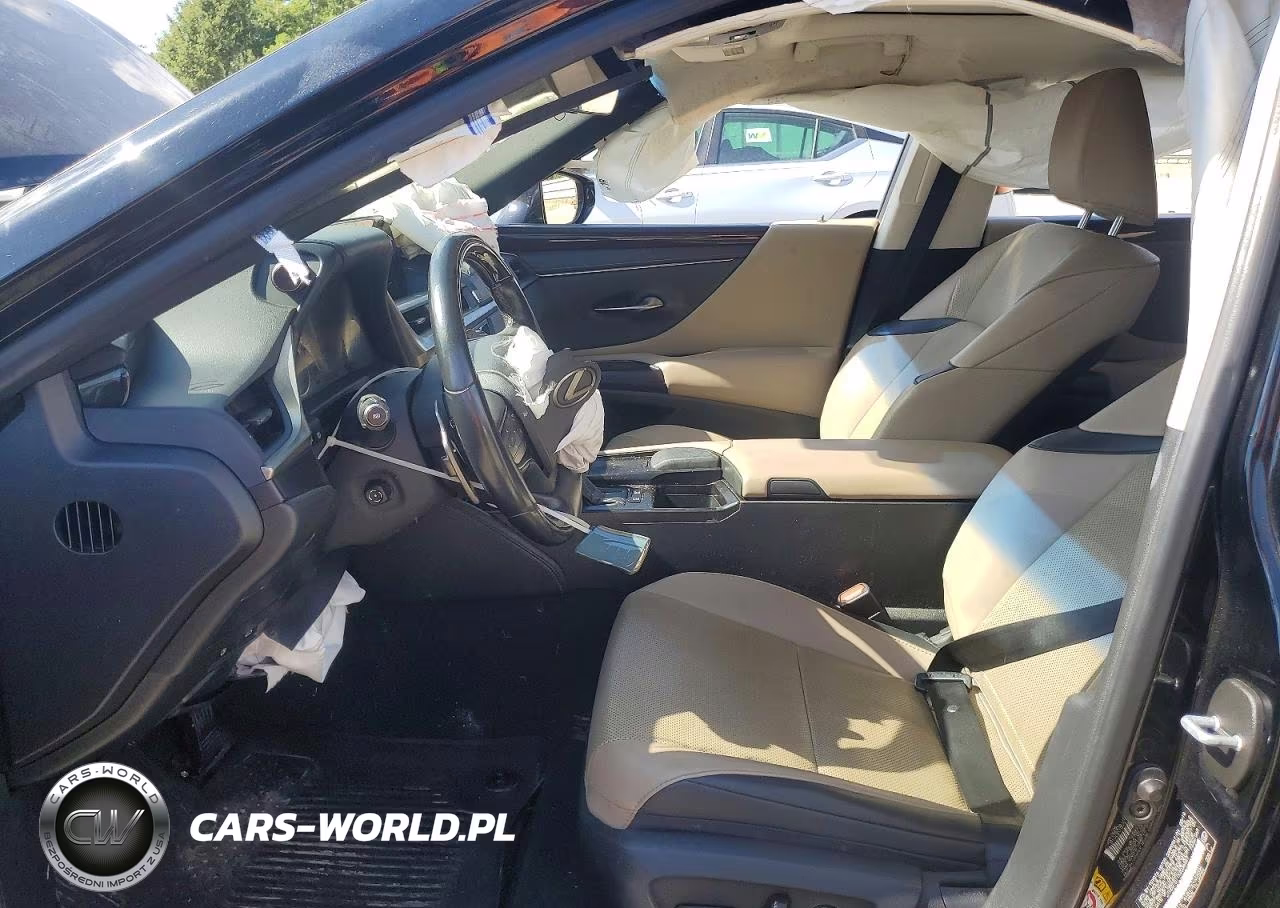 2019 Lexus Es 300H VIN:JTHB21B11K2036557 - 7